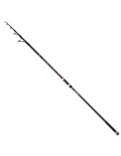 Daiwa Emblem Surf Type-R 4.20m 120T